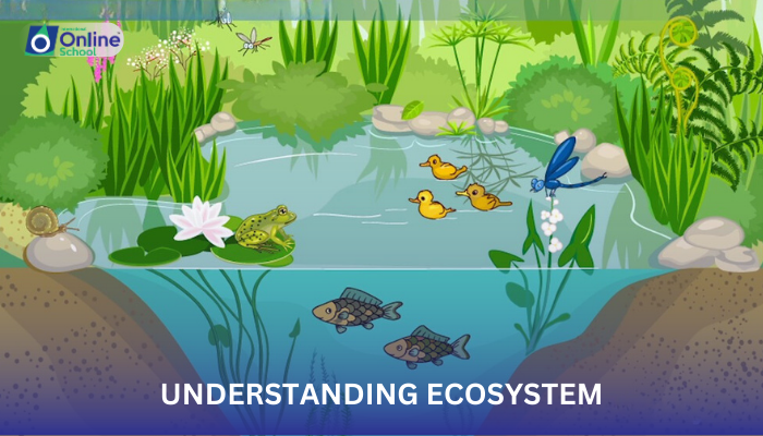 Lesson 02: Understanding Ecosystems